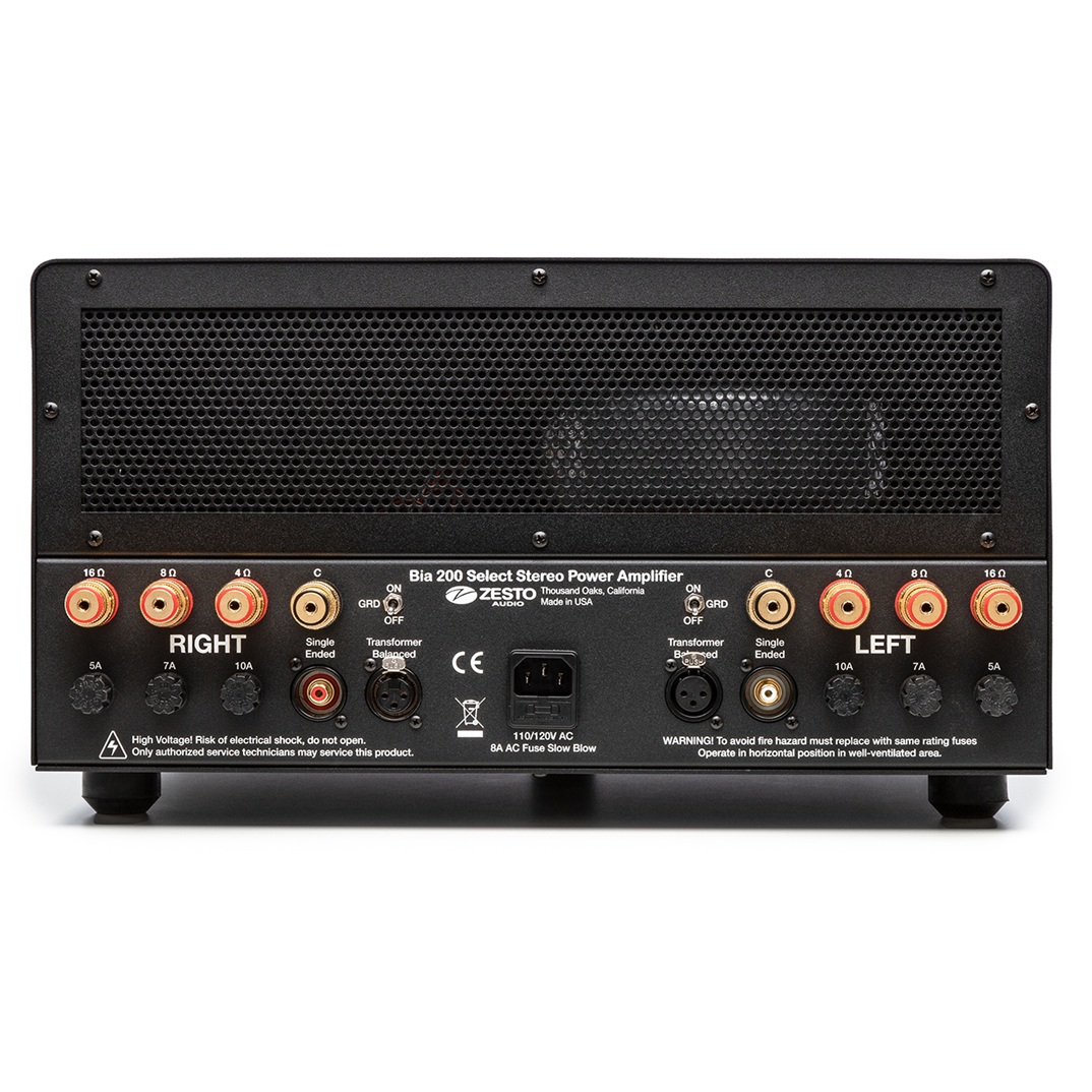 Zesto Audio BIA 200 Amplifier - Image 2